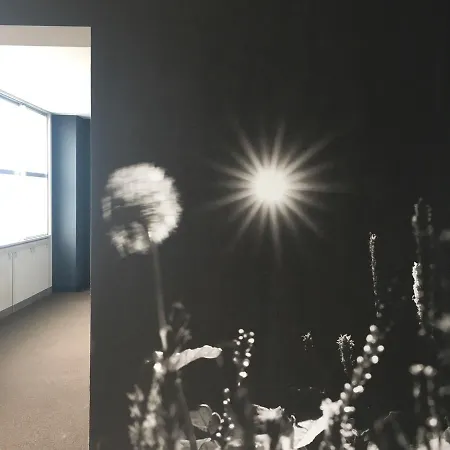 En ホステル ＆ バー 高知市 エクステリア 写真